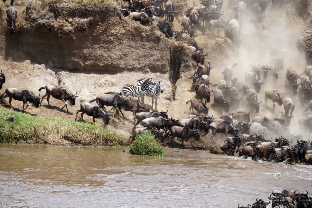 7 Days (Western Serengeti Migration)