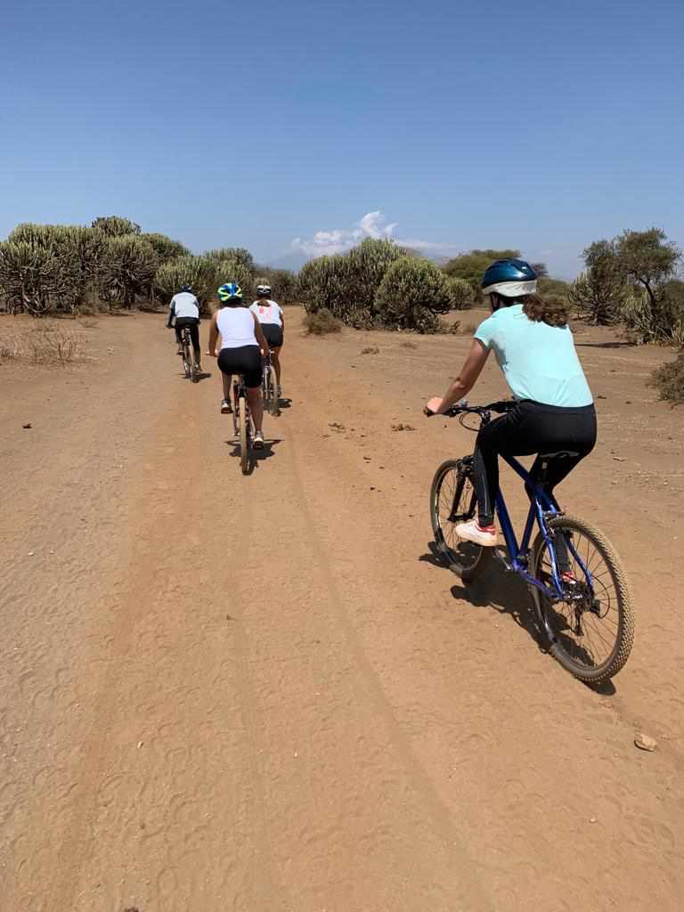 Cyclists exploring Tarangire cycling safari with wildlife in Tanzania