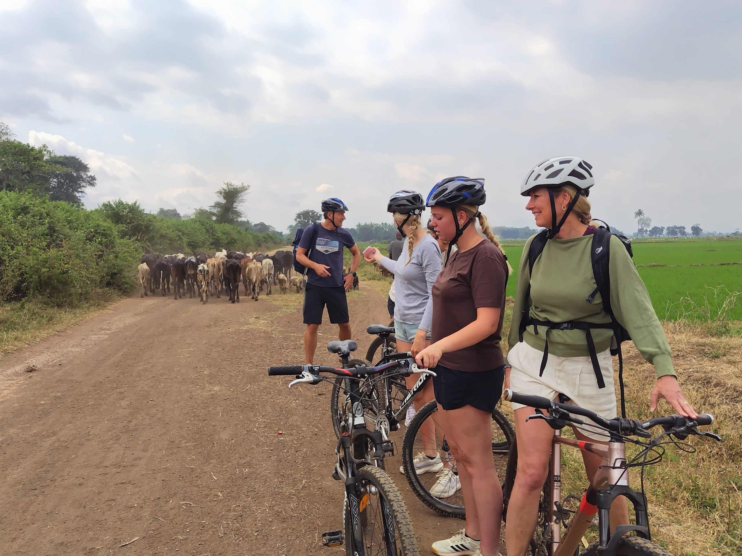 Bike Tour, Kilimanjaro Climbing & Safari Trip Combo | Bicycle Trail Tanzania