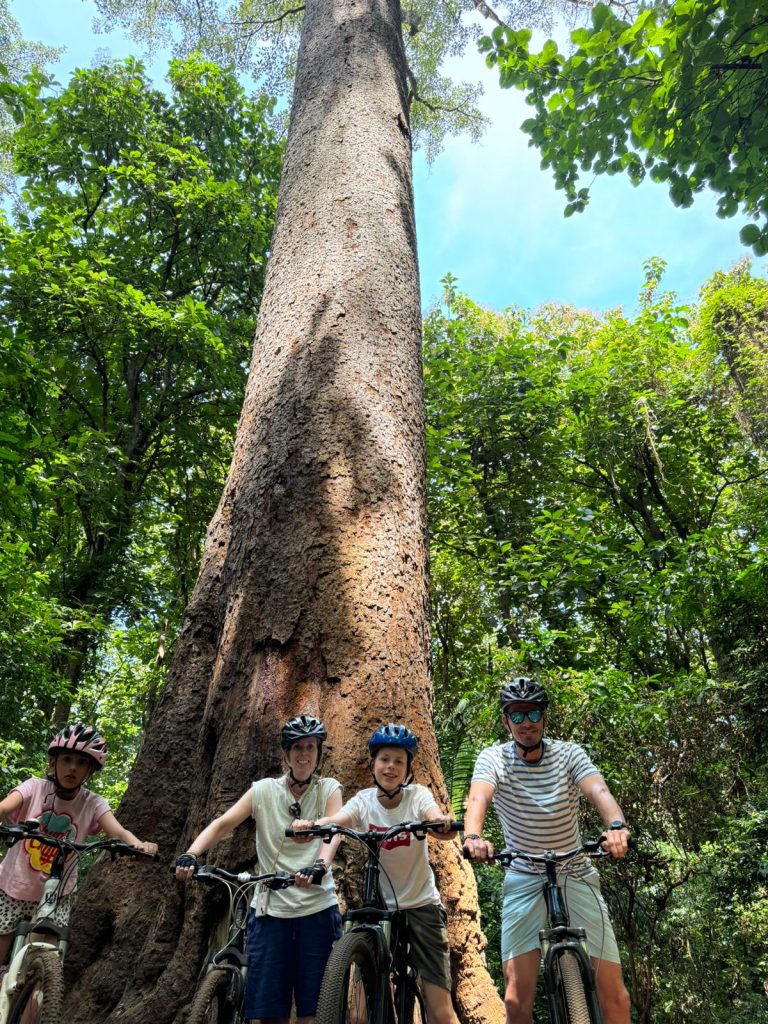 family bike tour in Moshi Tanzania