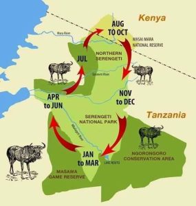 Serengeti Migration Map