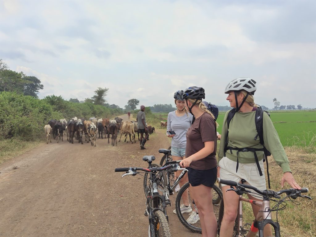 kilimanjaro biking route
