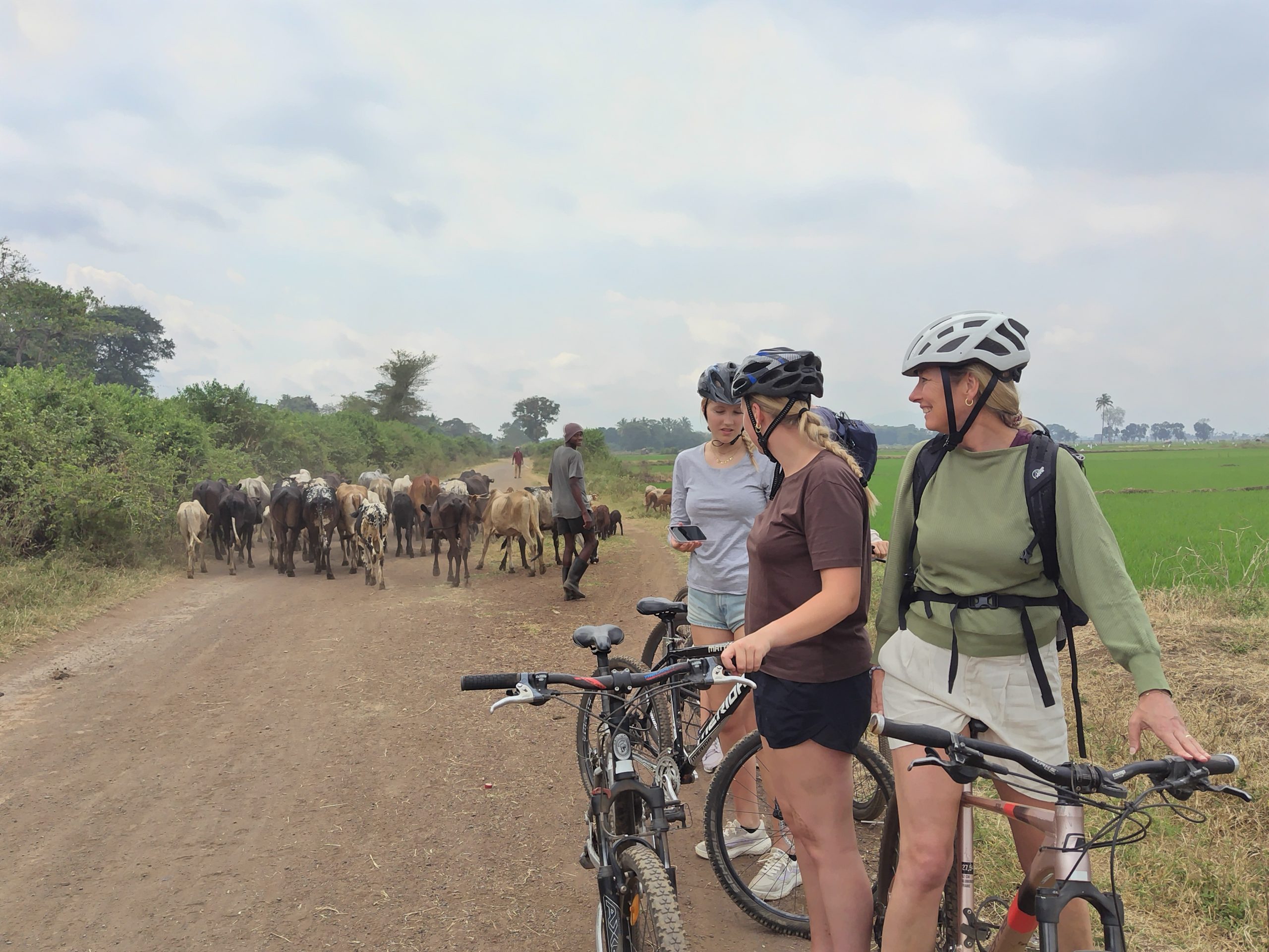 Kilimanjaro by Bike vs Hiking – The Ultimate Guide to Choosing Your Kilimanjaro Adventure