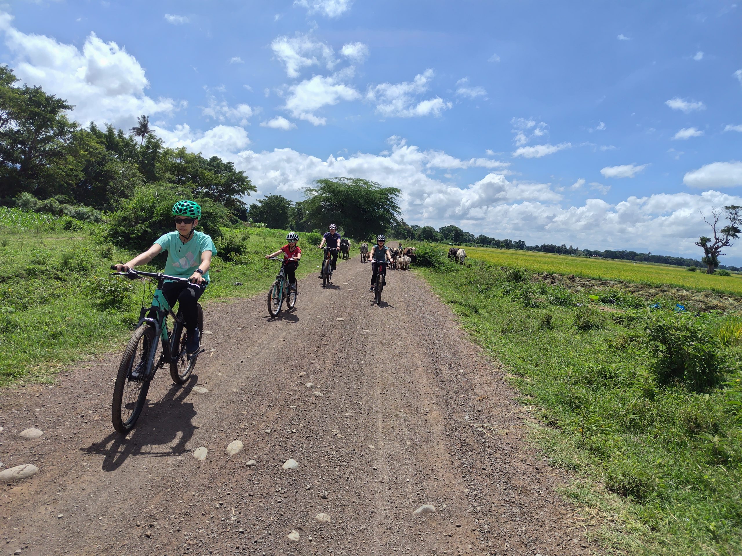 Bike Safari vs Jeep Safari in Tanzania