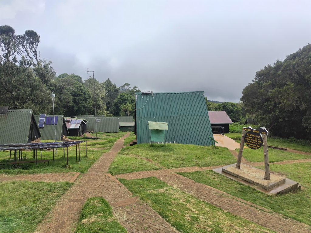 Hikers walking through the rainforest on the Marangu Route during a Kilimanjaro day trip