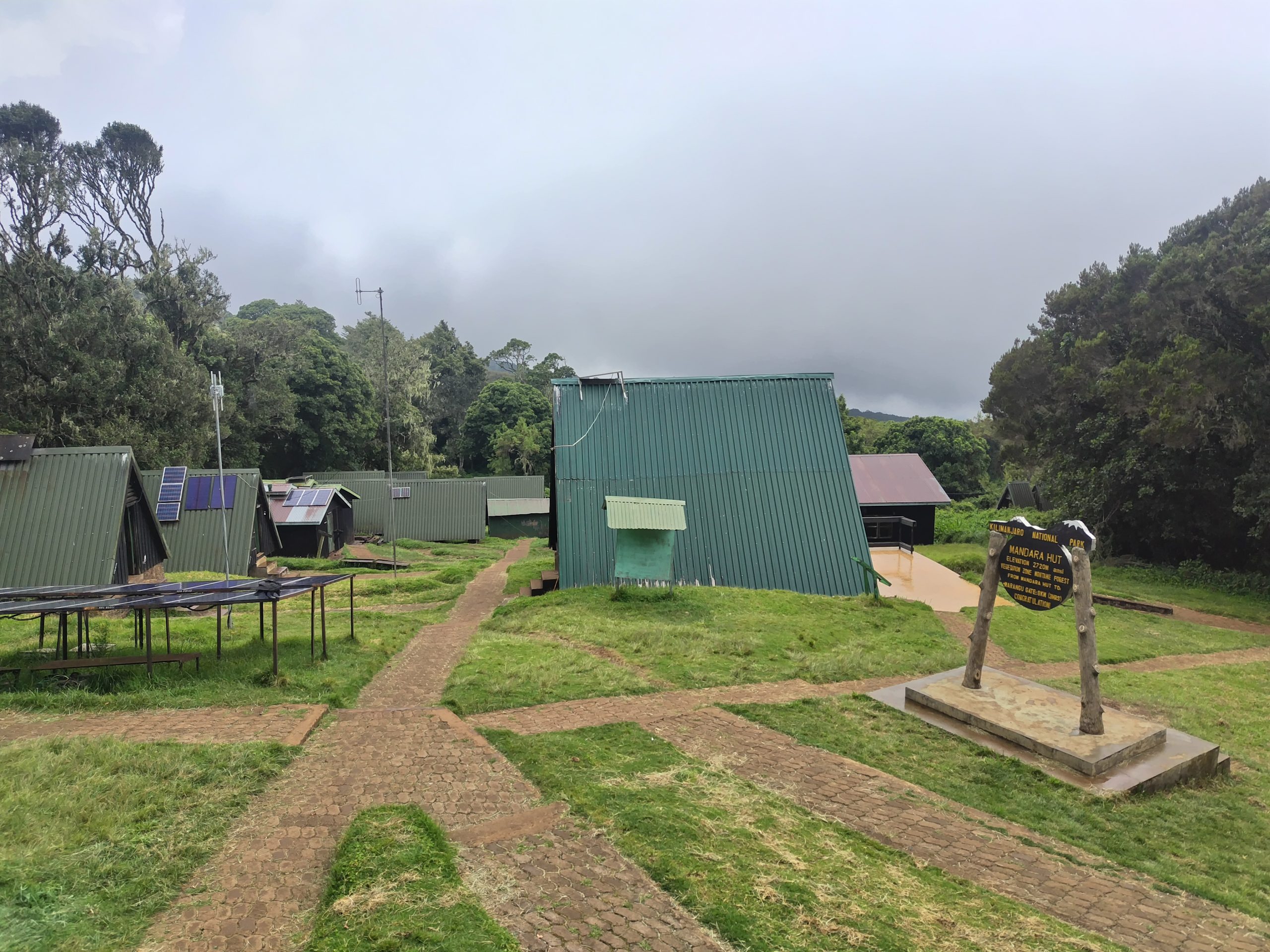 Hikers walking through the rainforest on the Marangu Route during a Kilimanjaro day trip