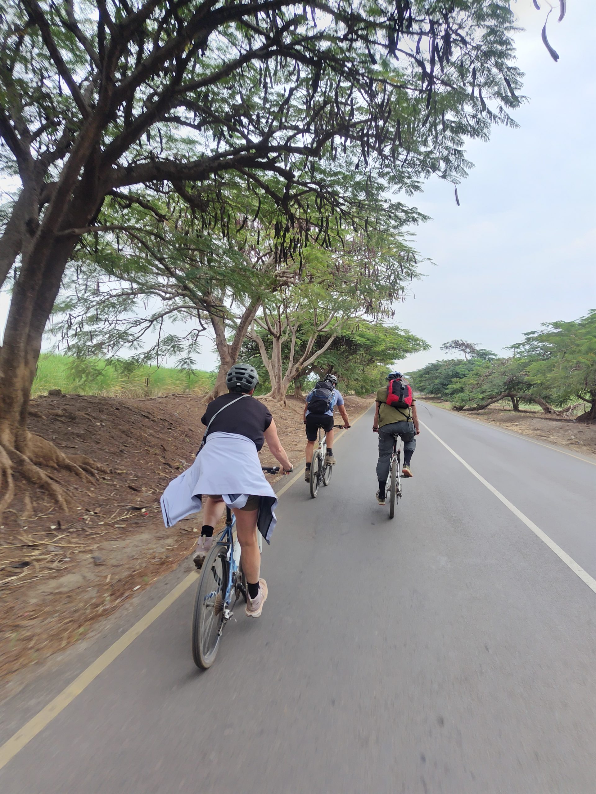 How to Choose the Right Bike Tour